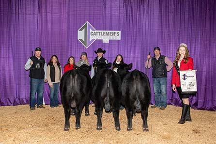 Champion Late Pen of Three Bulls 2024 Cattlemens Congress
