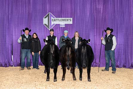 Champion Late Pen of Three Heifers 2025 Cattlemens Congress